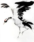- Agrandir l'image, .JPG 3.2Mo (fenêtre modale)