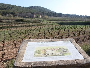 Balades et dégustations