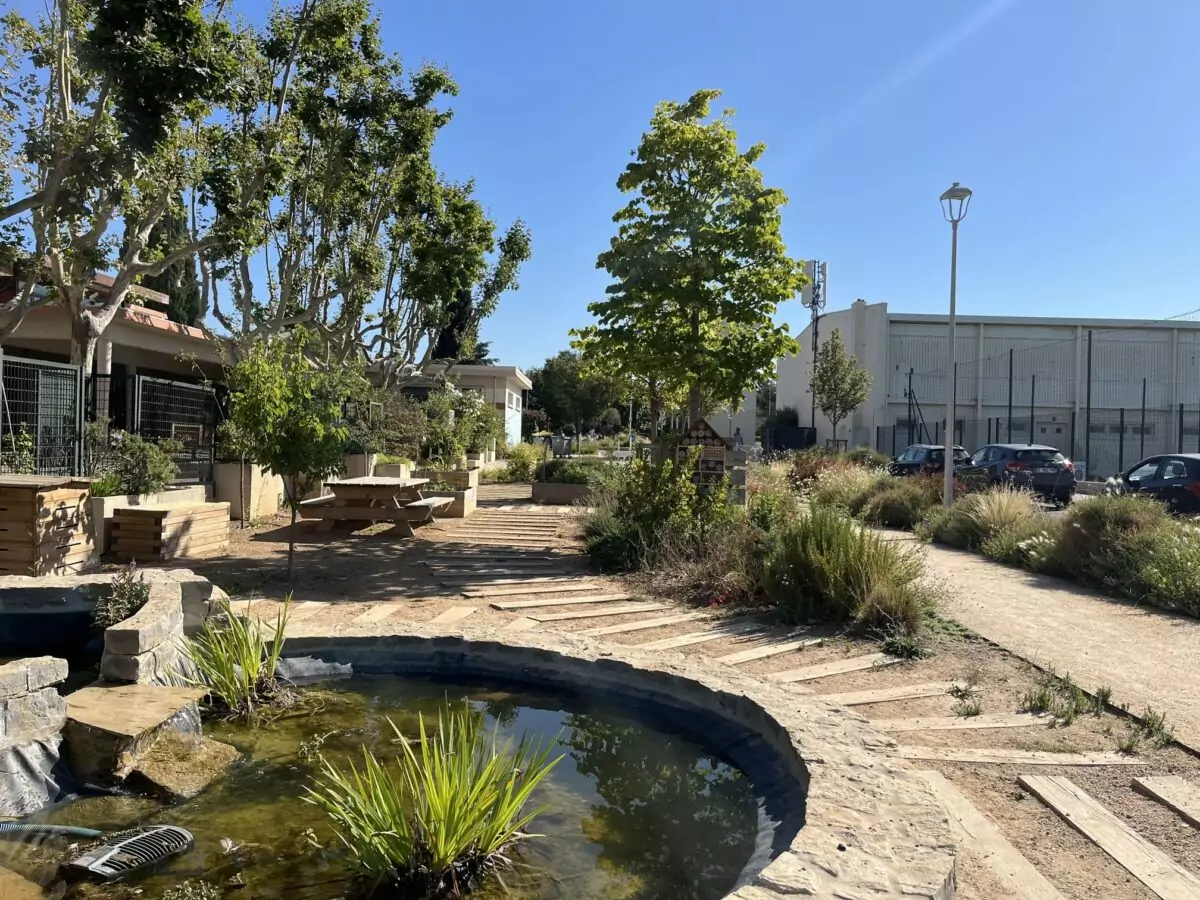 bassin en pierres végétalisé aux abords d'une école, arbres, cheminement piétonnier, banc, table