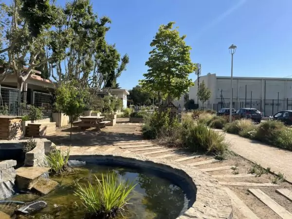 bassin en pierres végétalisé aux abords d'une école, arbres, cheminement piétonnier, banc, table