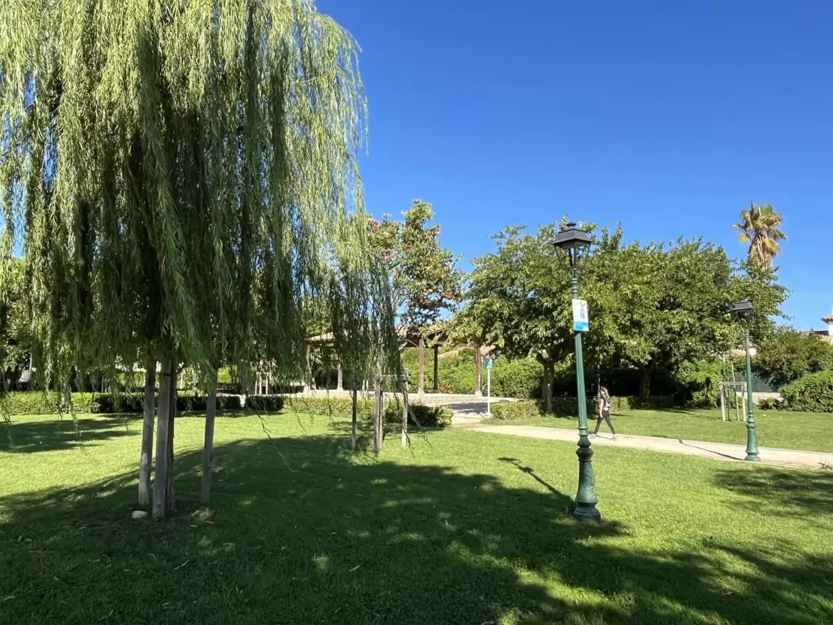 Parc Frank Leboeuf, pelouse et arbres type saule pleureur créant une zone d'ombre