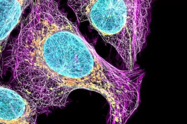 macro d'une cellule sur fond noir pour illustrer la conférence 
