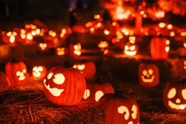 Plusieurs citrouilles d’Halloween illuminées et décorées de visages souriants dans un décor sombre.