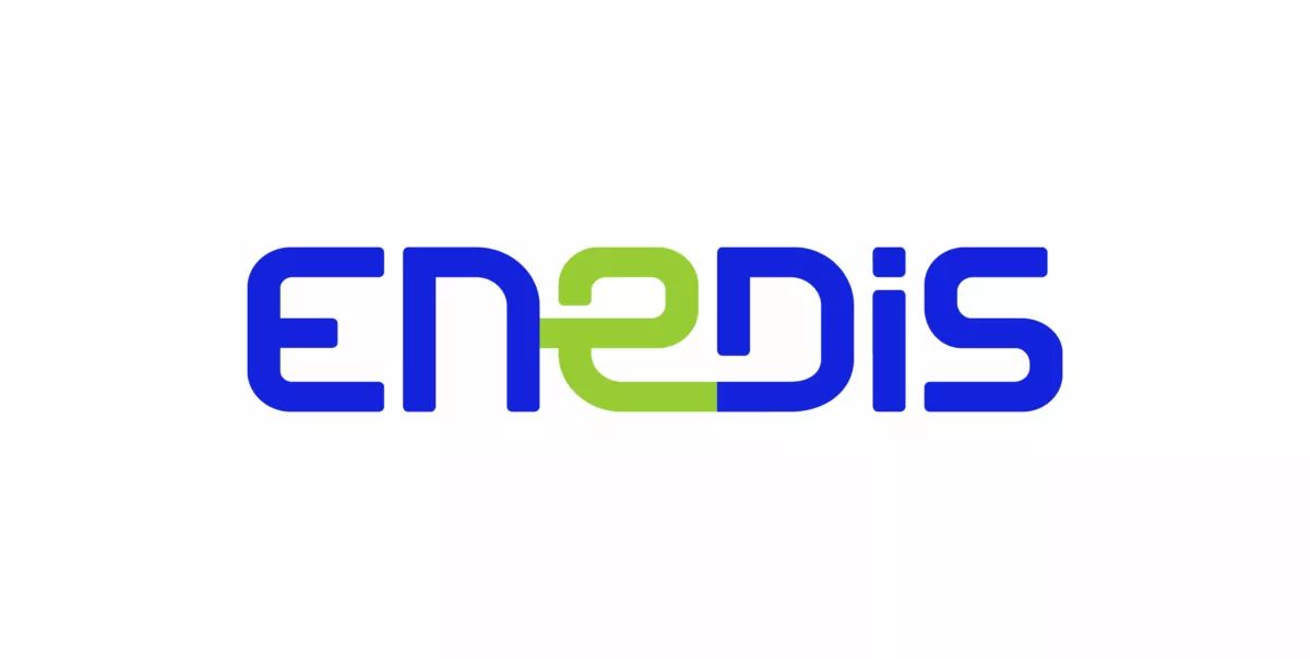 Logo Enedis en bleu et vert