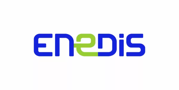 Logo Enedis en bleu et vert
